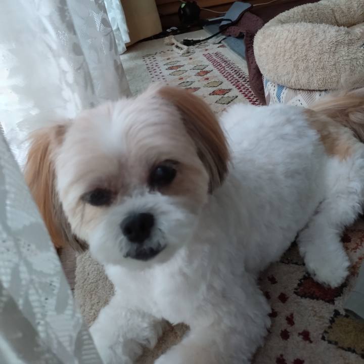 0951d5b0 783c 4d20 a015 f11448474a73 1717846197618