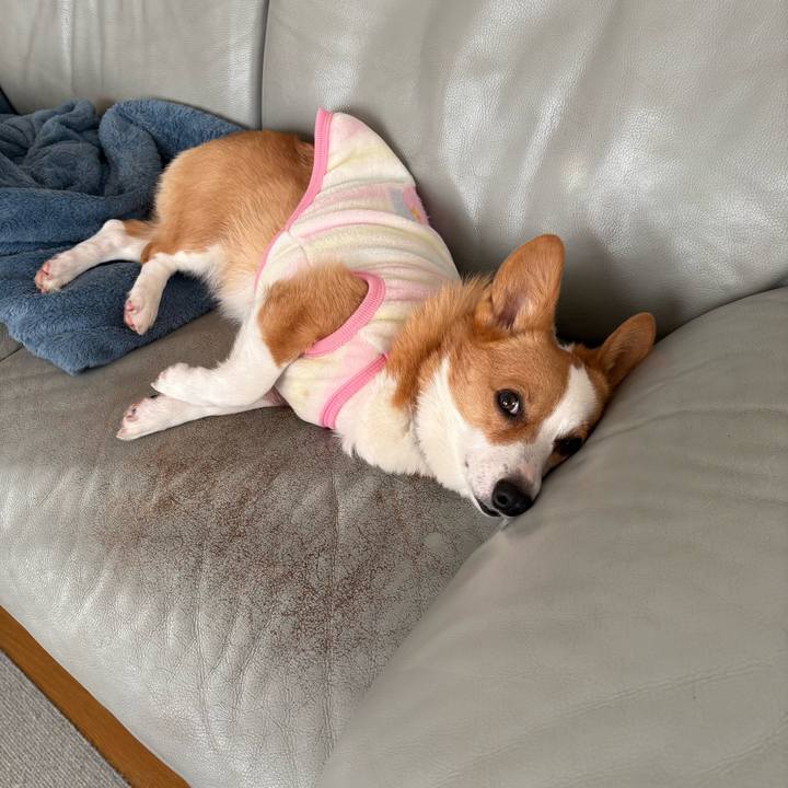 0951e403 a11e 40a9 8715 5b930b56085f 1767941213316