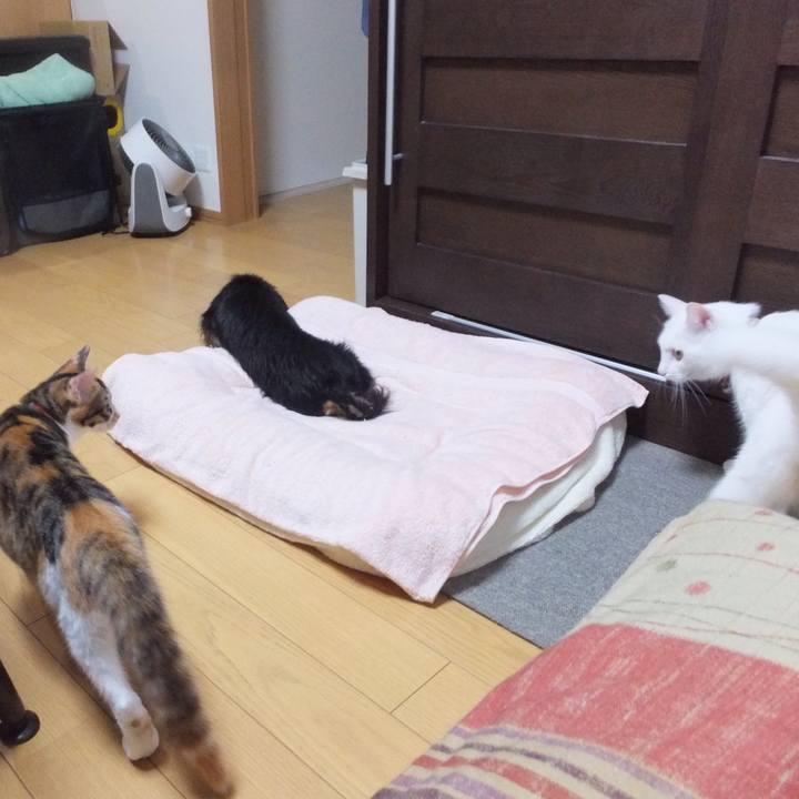 09520c3f 91d4 4abb 927a 2cdf04e4dc6b 1631331370568