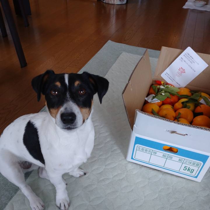 09521e96 9e34 44a2 b4ec 23eabfe9a720 1620220209174