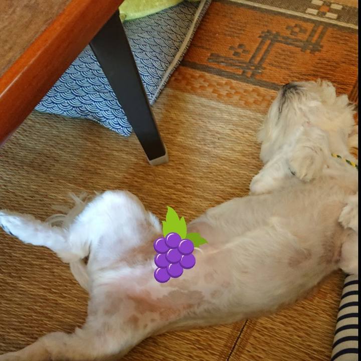 095233ec bae7 454e 8343 109e6dbf2551 1567936559679