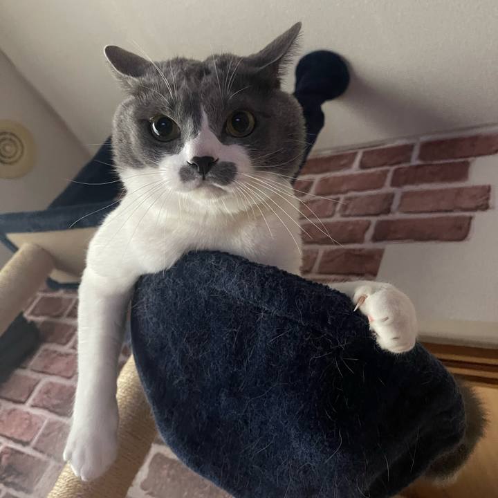 095245aa 23a7 4268 9835 bb57b3f7a1b1 1665097534123