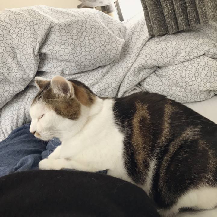 095262e5 ee6a 499c 86c0 7f9a62172b3a 1542103562267