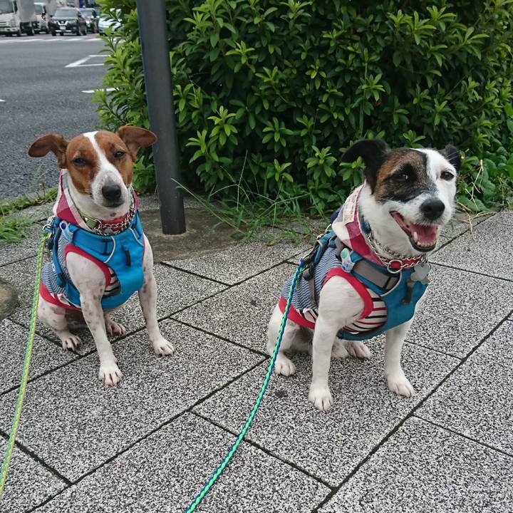 09528a41 4388 434d ae66 0021ca9b5b85 1595979494595