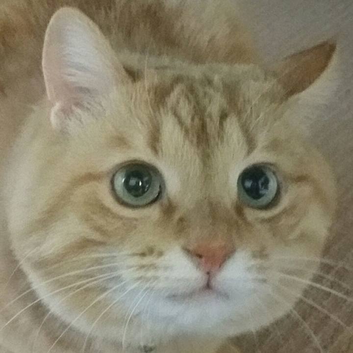 0952e51c 3469 4503 afe0 96820243508a 1547253538157