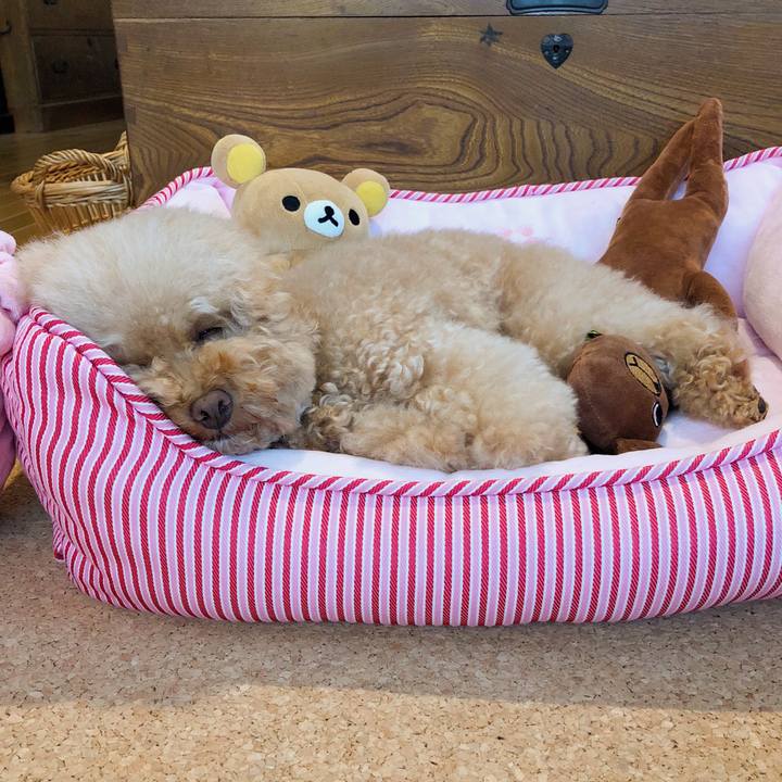 0952e5d9 c7fb 4b4e 9cf3 14a39a9cf46c 1508553552781