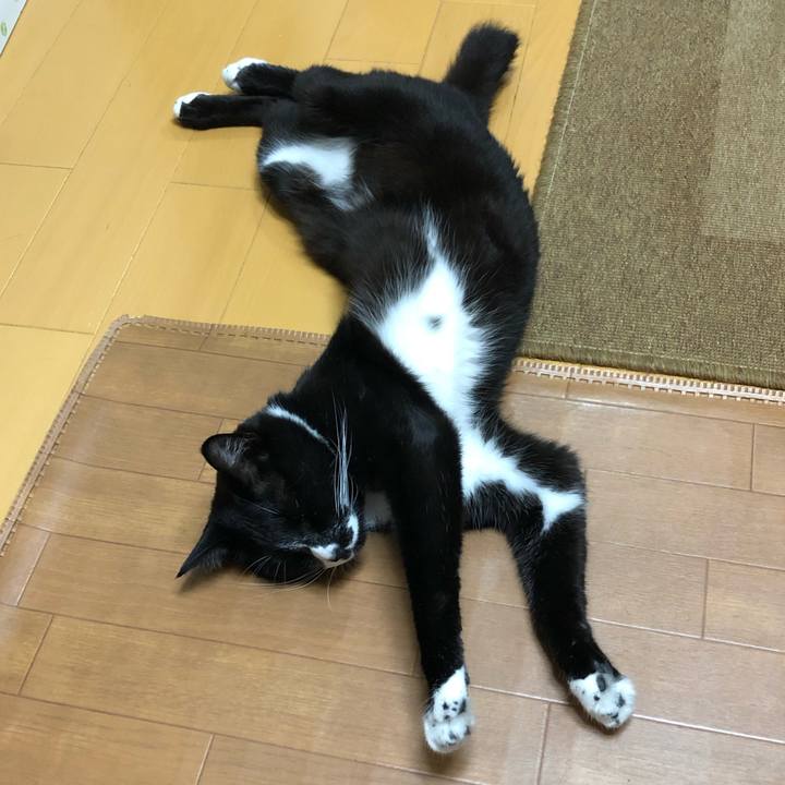 09530e40 e549 4fe9 8bda d6b26da180ba 1631503094490