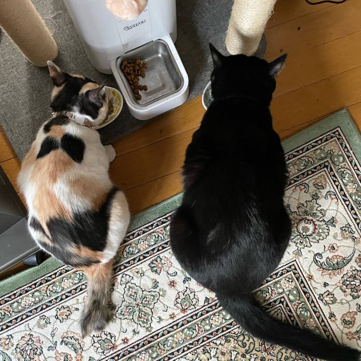 095331b8 cbb5 4042 b77d 6693299d847b 1678953889585