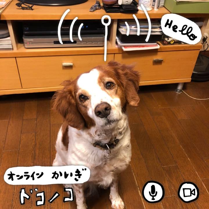 09535512 340f 456c 9801 398410eb3a34 1590708155907