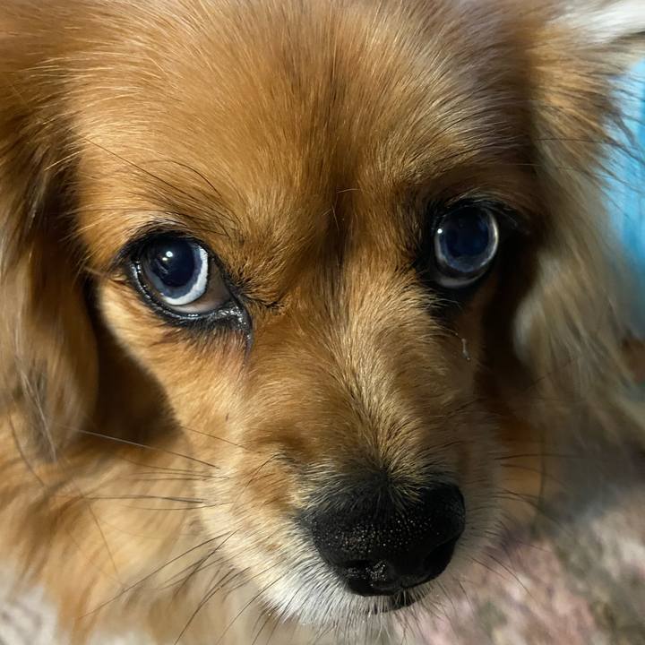 0953bc28 c5d6 4aa6 bfc6 3cbc4f1bb86a 1607638214504