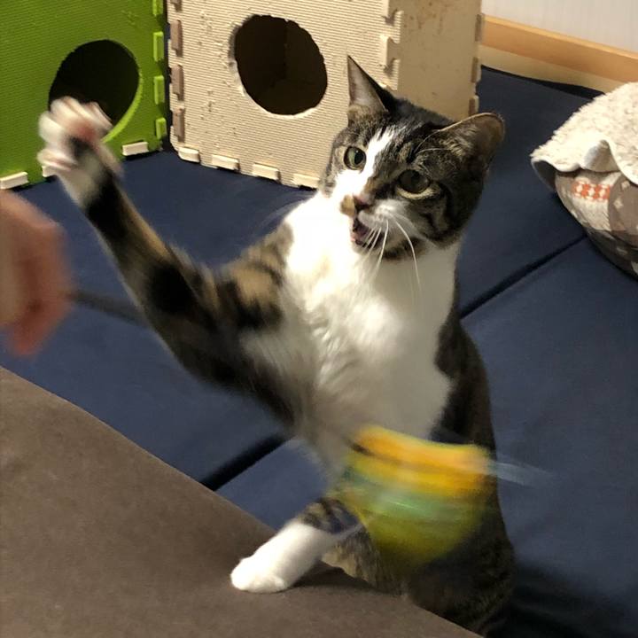 0953cdf2 ec52 4dac 9f63 69293289e06e 1521824106952