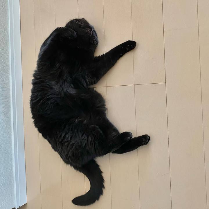 0953ce6f 5f56 4f01 8d6e fc1ddfa211cd 1753343456967