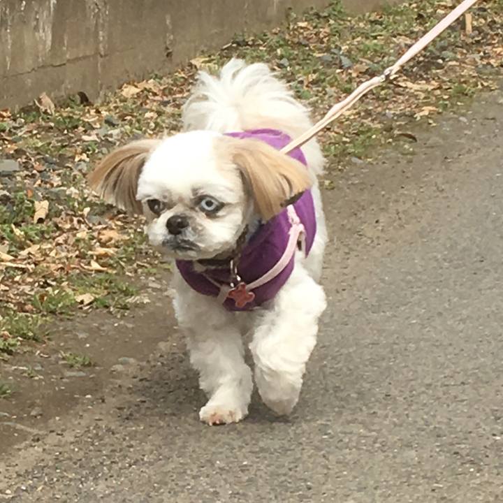 0953d402 a7ac 4214 b127 384fca4ca361 1521348133220