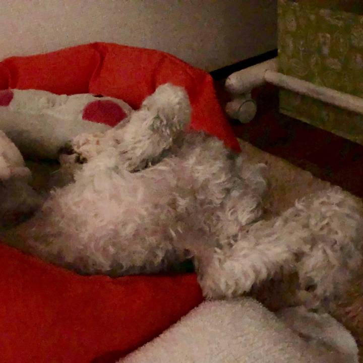 0953f712 8b34 43b2 84d4 720b55e2b58a 1560567568961