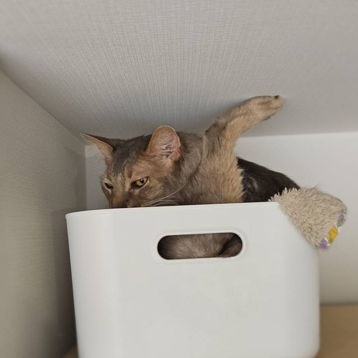 09540c20 365c 4ed2 9980 4ec52dd1d3e3 1771398798821