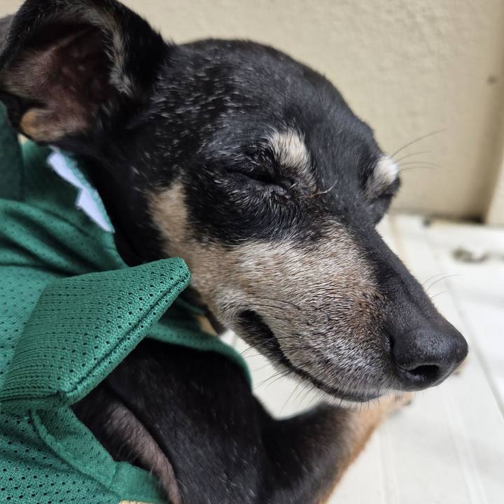 095458a0 ab15 47a4 93da 877db49e903d 1752640625460