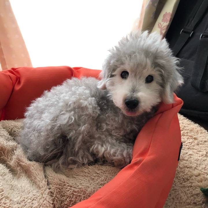 095482cd e21f 4cba 87f0 8f7f4ced66ce 1587340538008