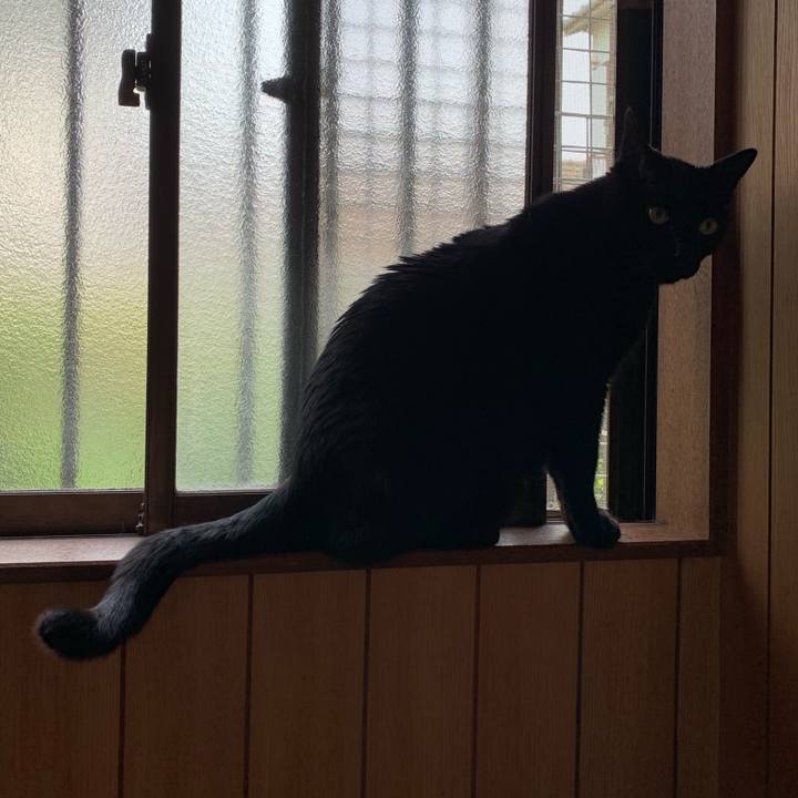 09548d0f 40b2 4bda ba58 38cef451723a 1556846343052