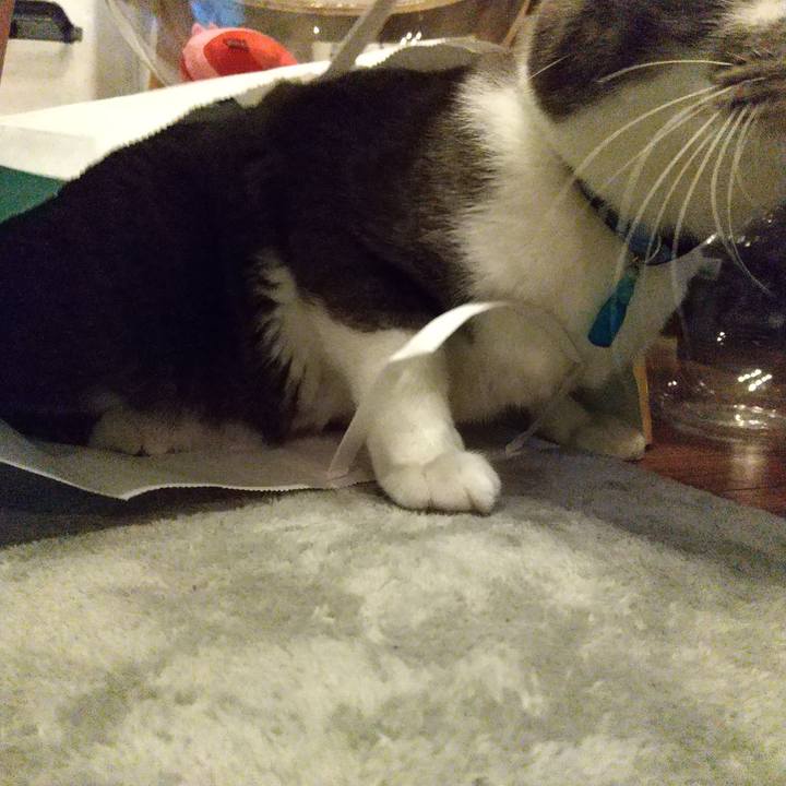 09549c52 54e4 40e0 8c59 8a9cddba4668 1614168051307