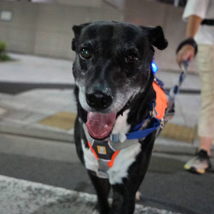 0954ac63 7c1f 4530 b193 a3edd64d13fc 1759835609588