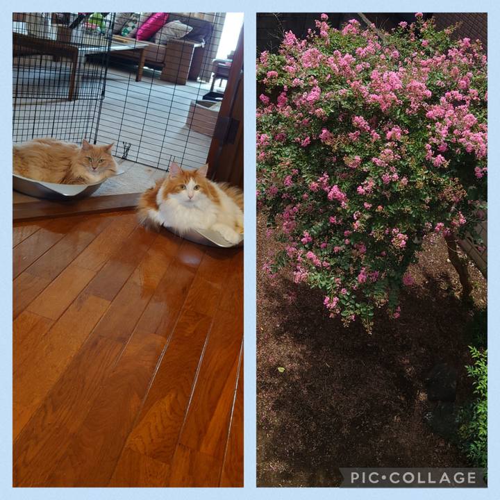 0954c1bb 550b 4098 885d f407fd7d93b3 1661818125914