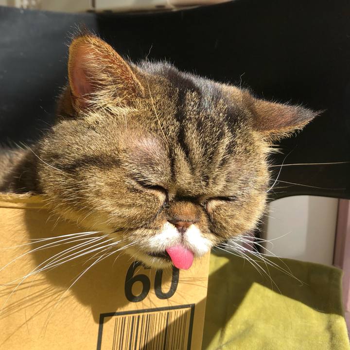 0954cfe0 0dd1 4533 a24e ad31fe9d0624 1657238856186