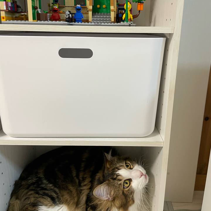 0954dd1f 1cce 41b9 b8c6 f9f80f80087e 1647857942188