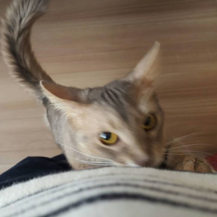 0954e7d2 5779 4d44 8c36 2f82641da73a 1520654176039