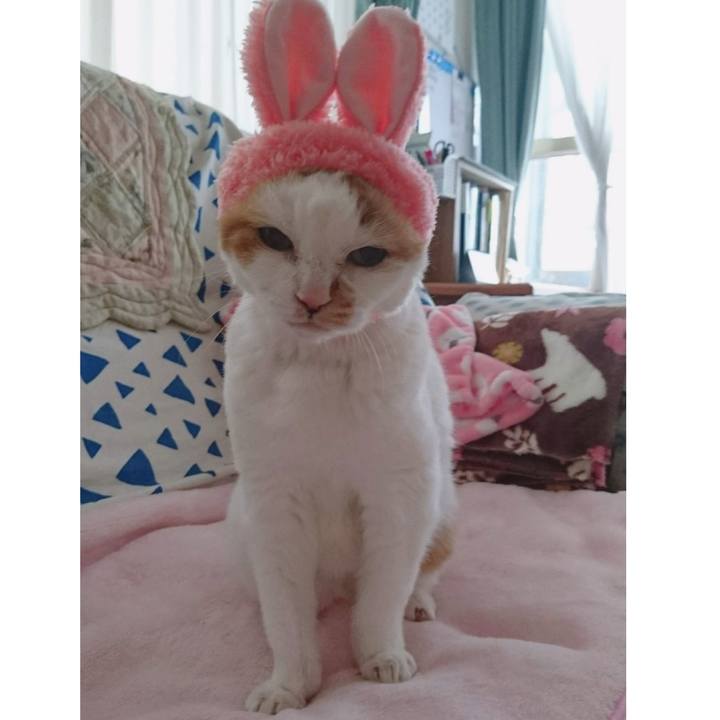 0954ee82 8bac 42df b4f6 d51683b9db7d 1640395292255