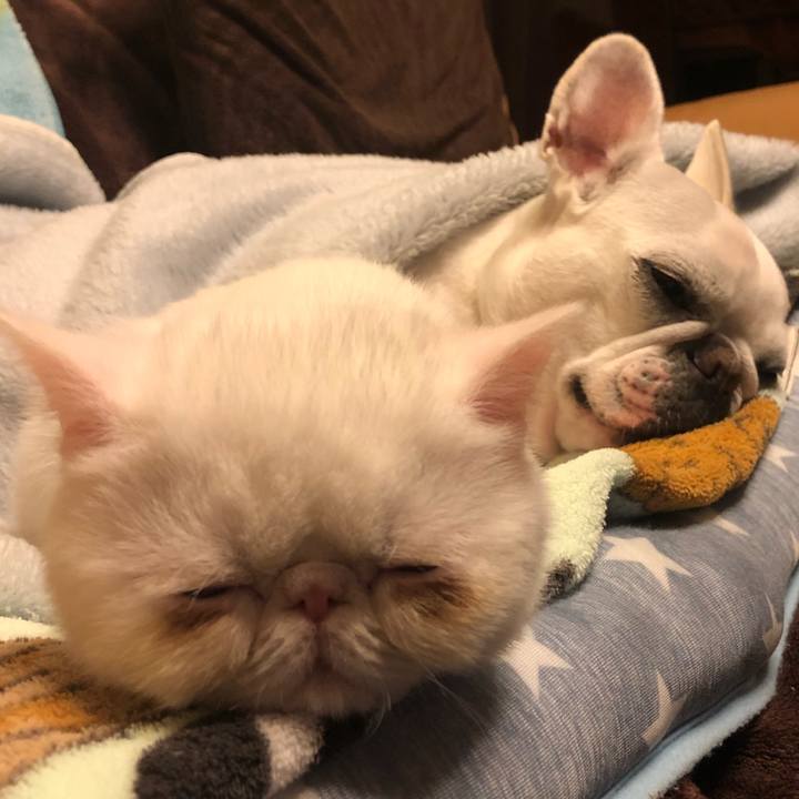 0954fc50 cda8 41ff 864a cf8673a73039 1547987909255