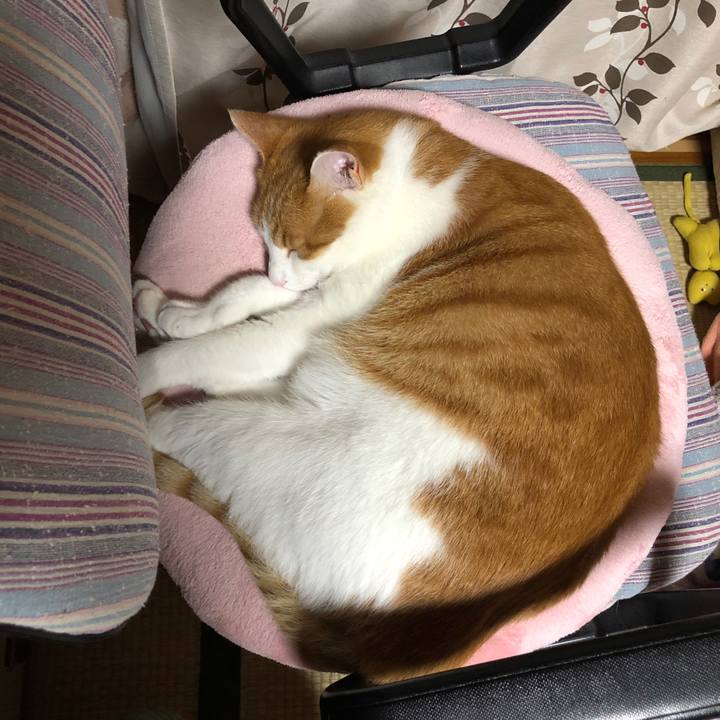 09550a42 f8ca 4dbd a6d9 c9025dc9fc05 1562682737816