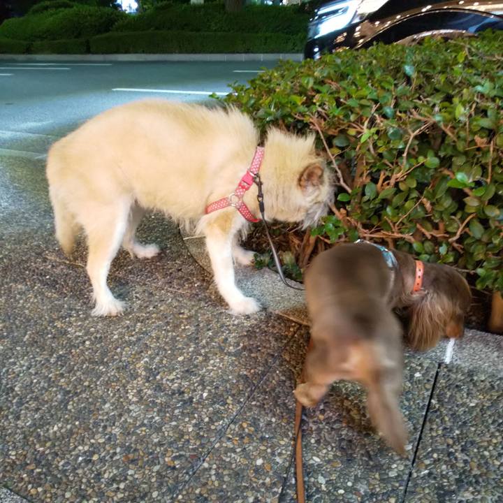 095548d0 b6e2 428f aaa7 dc7388fb334d 1568888991492