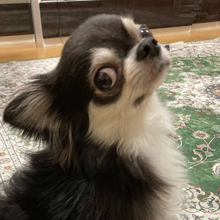 09554b42 a0a7 41ea b844 5db873f466d6 1662792098256