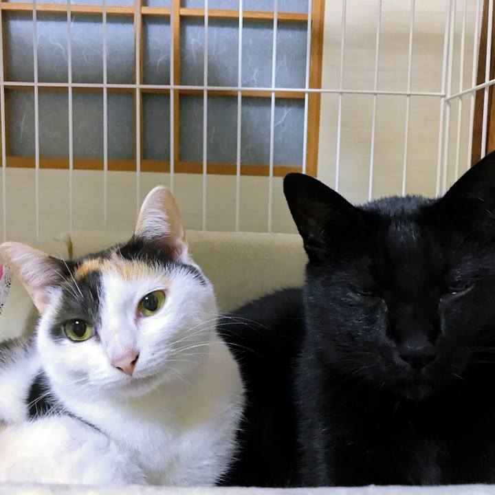 09559ab9 0865 4ddc 8122 e83e1e453013 1509027519813