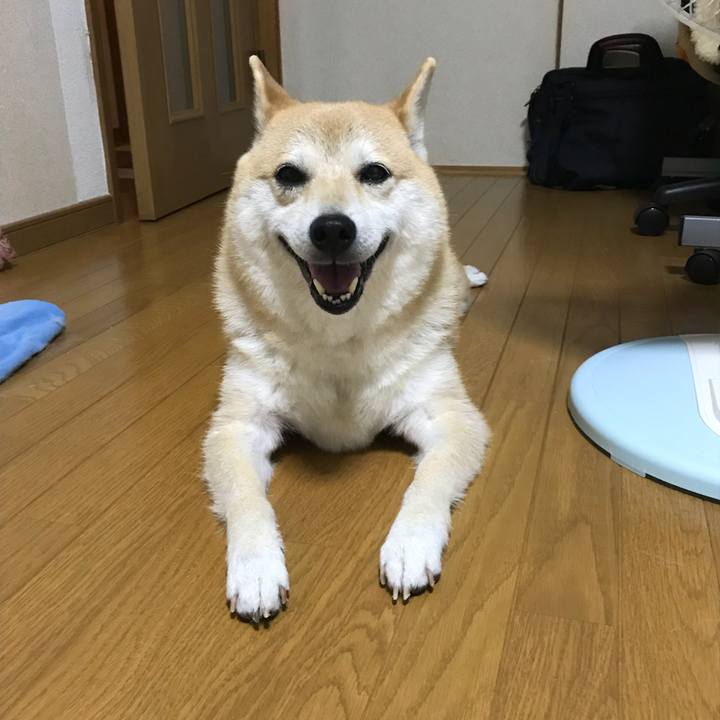 09559f0f 4dc1 4cae b09b b6fa4e1cdccb 1528684160443