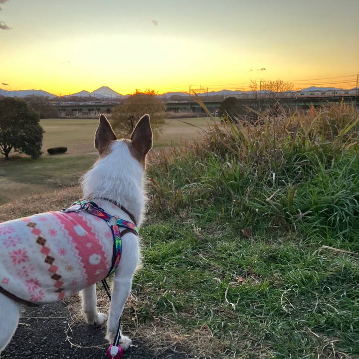 0955acde 02a6 4610 b480 1a40f757ab79 1734222229794