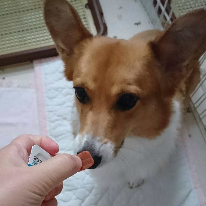 0955bacb eb2a 4b90 ad73 d7b1ecb20119 1540862559197