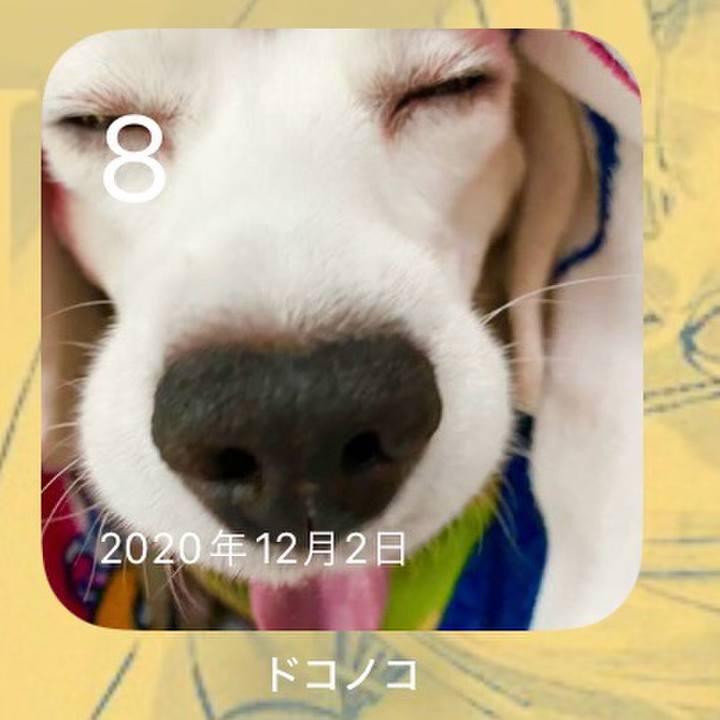 0955d669 132e 4f2d 99a0 10297838f67a 1701993950010