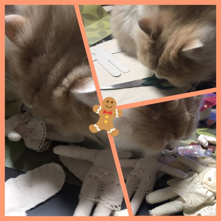 0955e485 ec73 4d2e b903 847248f98e91 1545228005421