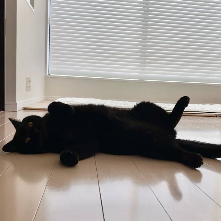 09561a6d f70c 4d2c ad12 48fd751a62e4 1626645943971