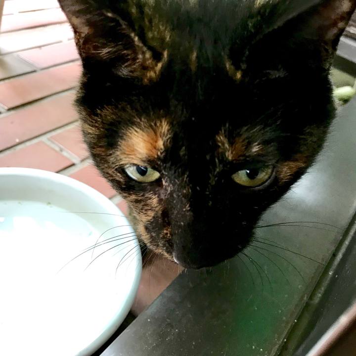 095659e1 6fe6 4e6f a09c 78bae2b1f379 1537409718070