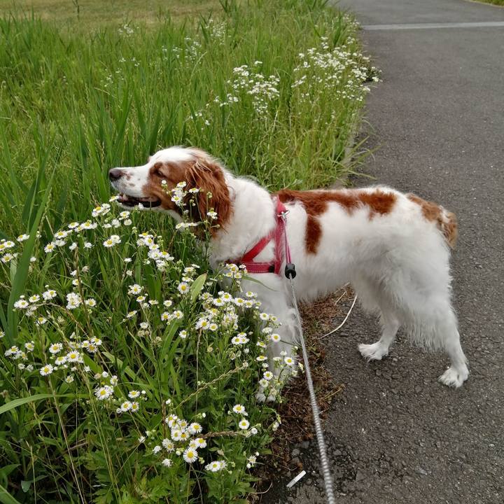 09567bfb 098c 4e16 abb4 de9df1d62e43 1591963170200