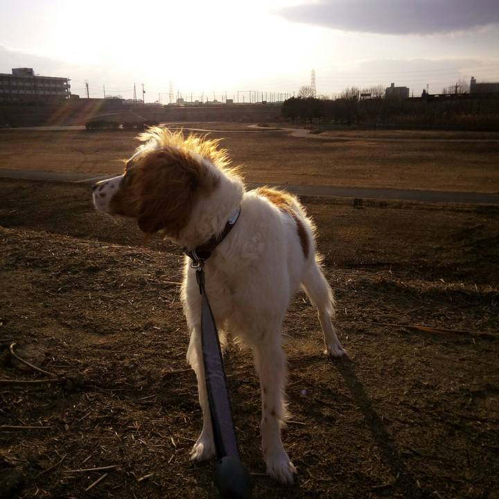 09569945 c45c 4a36 acbe c721a3833b5e 1517223893723