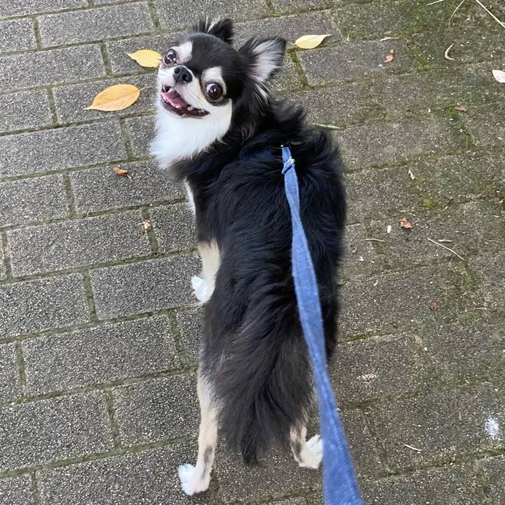 0956b273 da80 4678 93ab 2ad1aa666e72 1663411156727