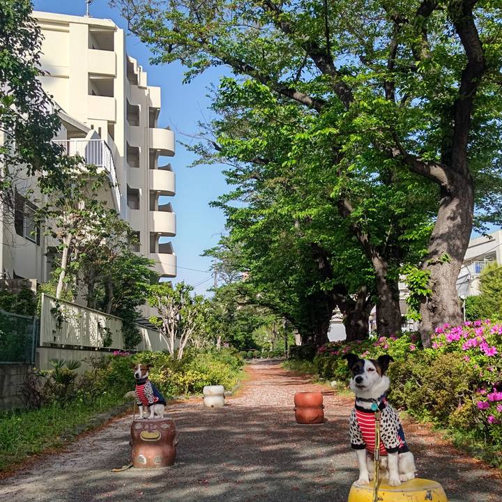 0956b42c 32ff 4b8c 98c9 63c304ee1d18 1713481363962