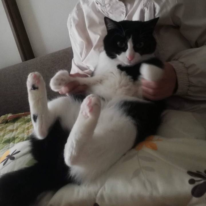 0956c3c6 79cd 447b 92fa ff4702b31f75 1552984126482