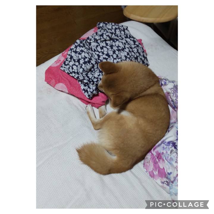 0956d607 819c 4f70 a232 dbe06de040e1 1718611996214