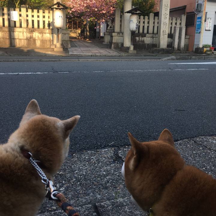 0956d954 3fe4 4736 a194 0437083c8015 1523139189990