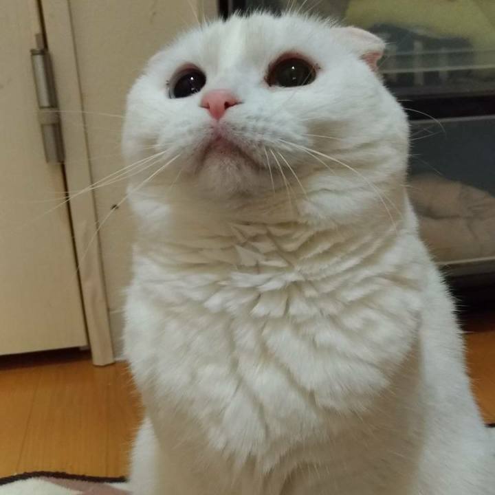 0956f6b3 f73e 4c14 97a9 12c8aca9f8ba 1556491958685