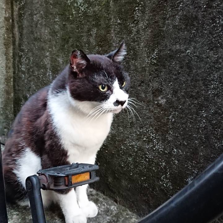 09570851 b5a8 44b1 9494 8e9a651d9ceb 1689766285304